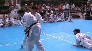 BUNKAI - The Essence of KARATE