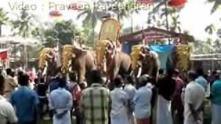 Thirunayathode Sivanarayana Temple -- Ulsavaghoshangal -- 2011