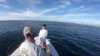 Insane Crazy Shark Fishing Ponce Inlet New Smyrna Beach Florida