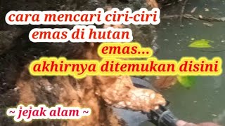 cara mencari ciri-ciri emas di hutan emas ditemukan disini, jejak alam