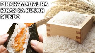 Pinakamahal Na Bigas sa Buong Mundo | Most Expensive Rice in The World | Kinmemai Premium Rice-Japan