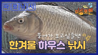 [따로낚시] 한겨울 붕어낚시가 하고 싶을땐 #하우스낚시 #민물낚시 #찌올림 #shorts