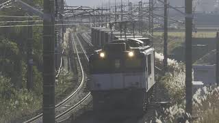 中央西線　８１レ　ＥＦ６４　１００３号機