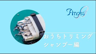 おうちトリミング/アンジェス動物病院