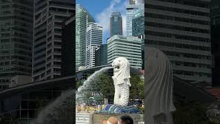 🇸🇬这里是新加坡.Merlion.Merlion Park.Singapore鱼尾狮.鱼尾狮公园.新加坡#Singapore #travel #merion