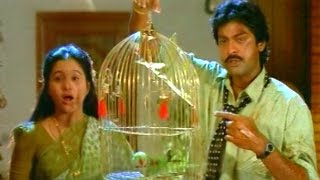 Andhamaina Full Video Song || Srimathi Vellostha Movie || Jagapati Babu, Devayani