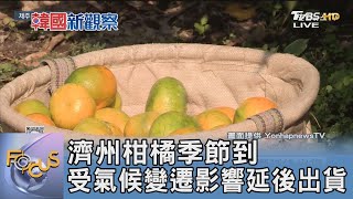 濟州柑橘季節到 受氣候變遷影響延後出貨｜FOCUS午間新聞 20241128@TVBSNEWS01