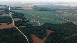 261 Acre Madison Parish LA Irrigated Farm for Sale