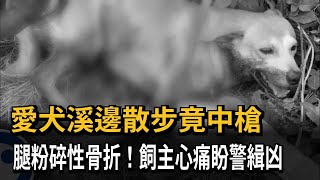 愛犬溪邊散步竟中槍 腿粉碎性骨折！飼主心痛－民視新聞