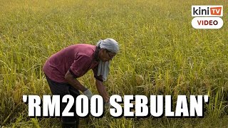 Bantuan RM200 sebulan kepada pesawah bagi tempoh semusim