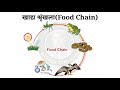 खाद्य श्रृंखला food chain खाद्य श्रृंखला का चित्र food chain in hindi khadya shrinkhala