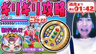 【妖怪ウォッチぷにぷに】Lv9の桜花朱夏ギリギリ攻略できて泣いた！ゴルフ簡単攻略方法 ZZ暴走不動明王 剣武魔神コイン ぷにっとショット シャドウサイド