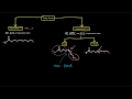 Lipids (Part 2 of 11) - Free Fatty Acids - Intro and Properties