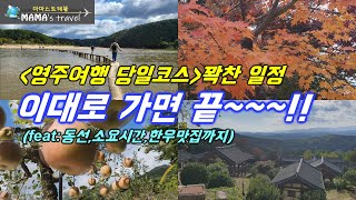 #341 [영주 여행] 무섬마을의 외나무다리/부석사의가을/소수서원/영주365재래시장/소백산한우 맛집까지/부석사 단풍은 11월초까지 절정