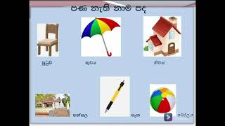 ප්‍රාණවාචී සහ අප්‍රාණවාචී නාම පද ඉගෙන ගනිමු