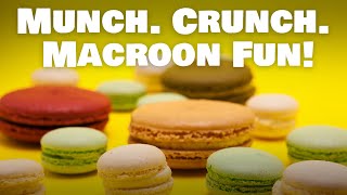 Macaroon Mania: Celebrating National Macaroon Day! 🎉