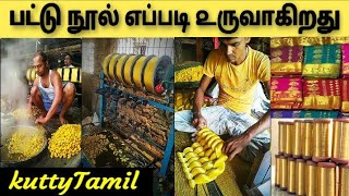 How silk yarn is formed //பட்டு நூல் ௭ப்படி ௨ருவாகிறது // kutty tamil