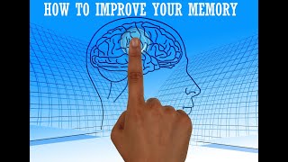 How To Improve Your Everyday Memory