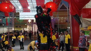 新加坡鴻傑體育會 Hong Jie lion and dragon dance performance at 關雲殿