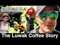 🇮🇩 INDONESIA - Cat Sh*t Coffee | Cat Poo Coffee Revealed #KopiLuwak #IndonesianCoffee #CoffeeLuwak