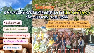 โครงการระบบส่งเสริมเกษตรแบบแปลงใหญ่ ปี 2566 อำเภอเชียงยืน