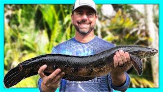 Bullseye Snakehead Catch & Cook. How To Catch & Cook The Best Fish You've Never Tried!