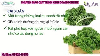 QuiAri_Cơ hội kinh doanh