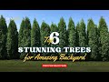 Top 6 Stunning Trees for Your Backyard 🌳🏡🌸 // Gardening Ideas