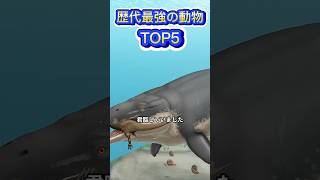 地球歴代最強の動物TOP5