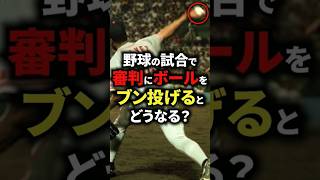 野球の試合で審判にボールをブン投げるとどうなる？ #野球