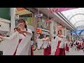 【ひとひら】第71回よさこい祭り~本祭2日目~帯屋町演舞場 2024 8 11