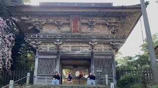 Shamisen & Taiko Japanese tradition music SAKURA 三味線＆和太鼓「桜」in妙成寺