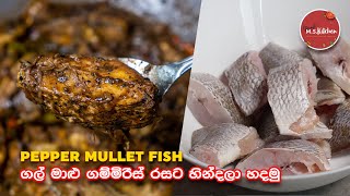 ගල් මාළු ගම්මිරිස් රසට හින්දලා හදමු | Sri lankan Gal Malu  | Pepper Mullet Fish Sinhala Recipe