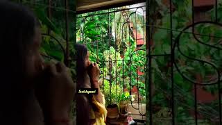 Baarish main Masti | ବର୍ଷା ଋତୁ | Barsha | Rainy Season | rain rain go away | Monsoon Magic | 🌧️☔🌈