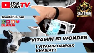 Vitamin B1 Wonder - STAR FARM STORE