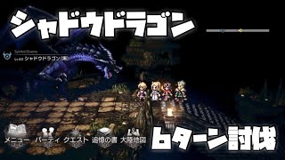 【オクトラ】シャドウドラゴン_6ターン【大陸の覇者】