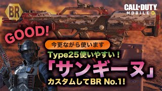 【CoDモバイル】今更使ったType25！カスタムしたら使いやすくて勝てました！【バトロワ】