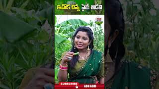 ఇదొక చిన్న  సైజ్  అడవి  | It is a small size forest - ABN Agri #shortsfeed