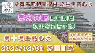 港經佬賽馬貼士及分析｜第十場參賽馬匹資料｜03-02-2022 沙田十一場日馬草地賽事｜免費心水及賽馬貼士｜全方位博彩及投資頻道｜足球｜賽馬｜股票｜樓市