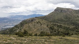 #MediterráneoEnAcción te cuenta los secretos del tradicional licor herbero de la Sierra de Mariola.