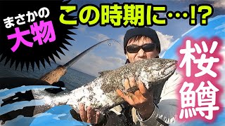 【サクラマス】1月に60…⁉まさかのゴールデンタイム突入‼