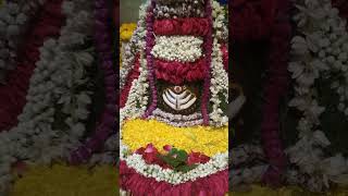 Om Namah Shivay Om namah shivaya 🕉️Anuradha Paudwal,