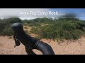 baskeel. somaliland bike tour.. locust plague covered the roads.. ayax. koronkoro.