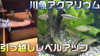 川魚アクアリウム作ってみた。60cm水槽とおしゃれな水槽台にレベルアップ！　川魚アクアリウム作ってみた2。　アブラボテ、カワムツ、ドジョウ、ヨシノボリ、タナゴ。