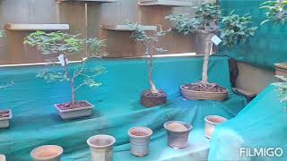 go green nursery nd veg restorant/place visit to near navi mumbai /karnala panwel