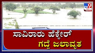 ಸಾವಿರಾರು ಹೆಕ್ಟೇರ್ ಭತ್ತ ಹಾಗೂ ಕಬ್ಬಿನ ಗದ್ದೆ ಸಂಪೂರ್ಣ ಜಲಾವೃತ|Tv9Kannada|Rain|Rivers|Agriculture|Belagavi|