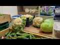 cheap and fresh vegetables from qatar farm mahaseel festival 2023 qatartamilvlog qatarlife