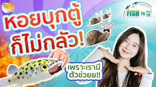 SNC FISH TO MEET YOU EP.2 -ปักเป้าแคระ