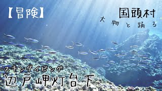 【冒険】大物と踊る国頭の海、スキンダイビングであの洞窟へチャレンジ！沖縄シュノーケリングでは見慣れない景色がギッシリ in 辺戸岬灯台下　ログ＃２９