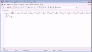 Beginner PHP Tutorial 9 echo